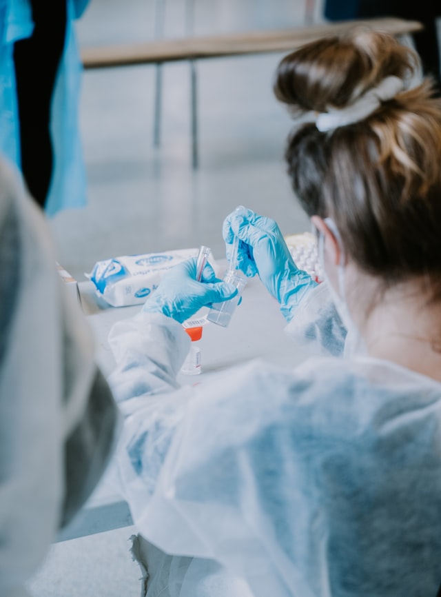 Endocannabinoid System Research