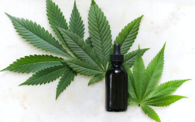 Rick Simpson Oil: What You Need To Know About RSO