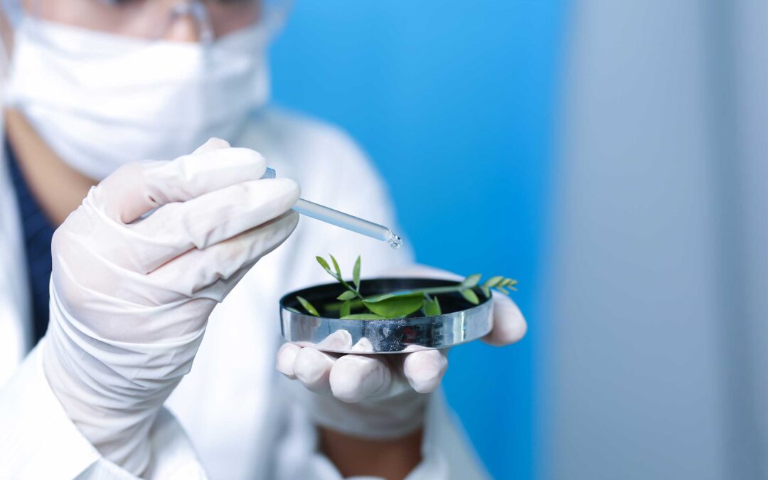 Arizona Cannabis Testing Guidelines and Standards
