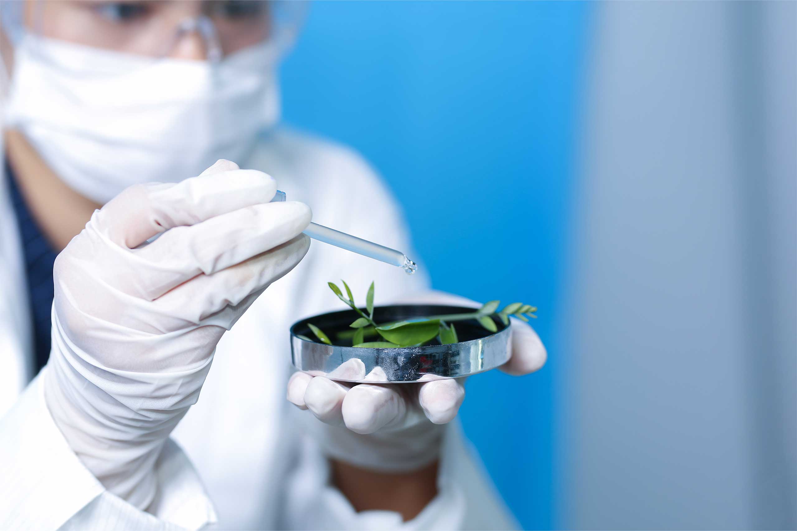 Arizona-Marijuana-Testing-Results